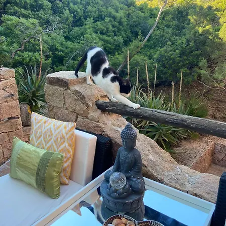 Vakantiehuis Sardinian Seaside Retreats *